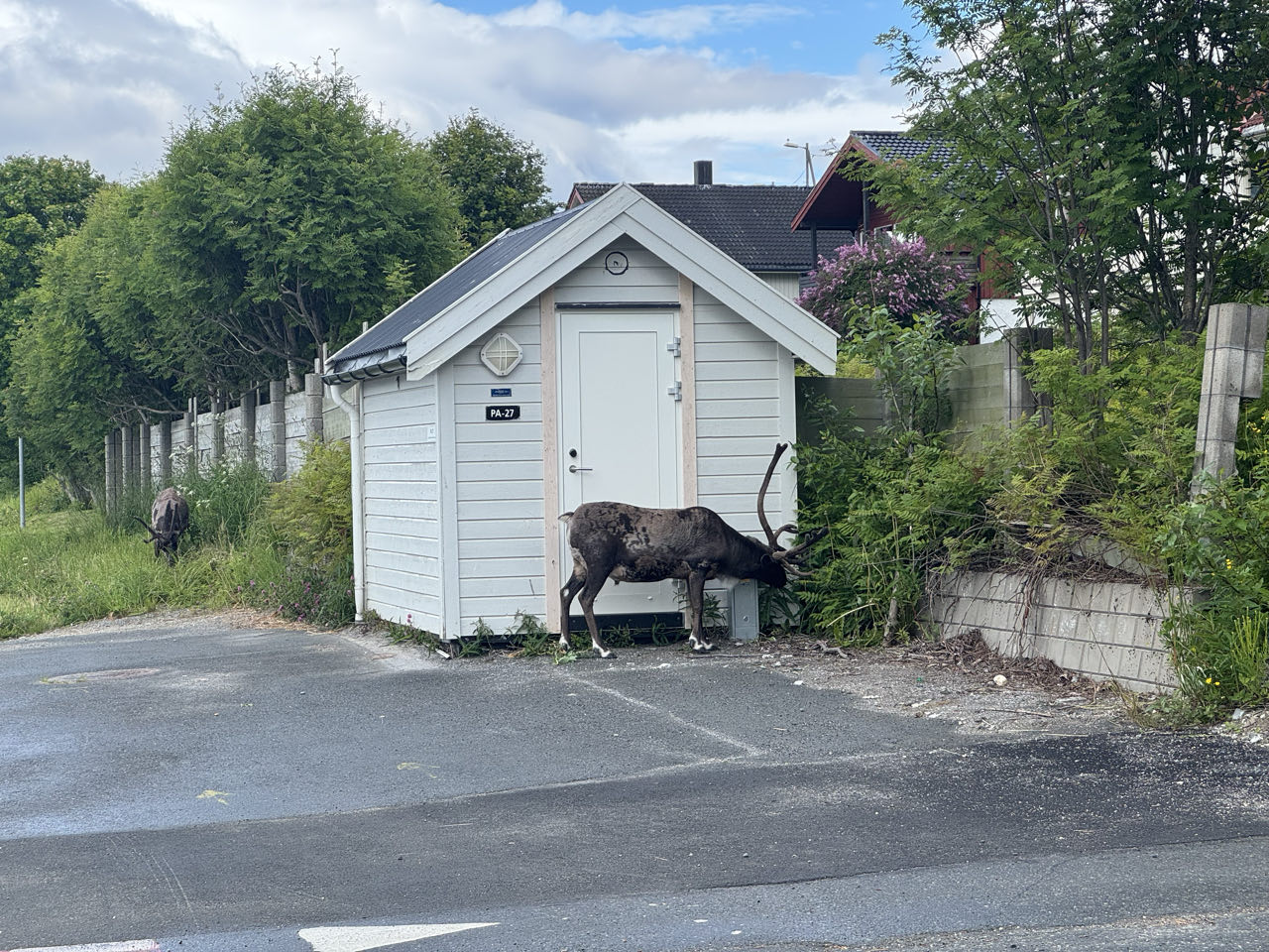 82004100-7aa4-42f2-9408-784046808b3b_46de1ab4-b317-4a8a-9639-0cdbfa706325-2