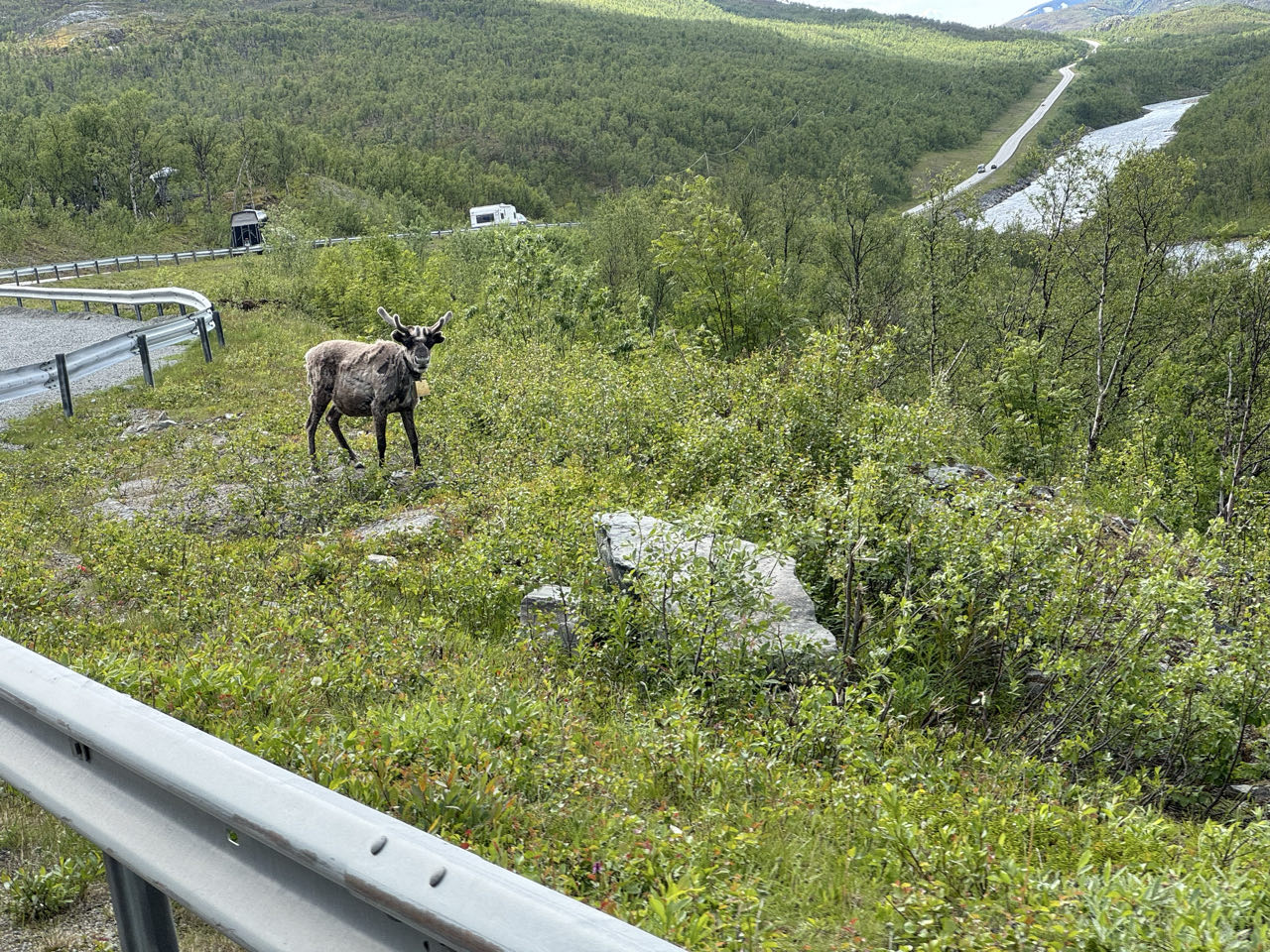 9f175fe3-996e-411b-8bbe-f2873f6c70f8_6fa22a15-6e70-4d8d-92ae-8f7a62b20b99-2